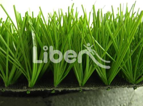  Sports Grass