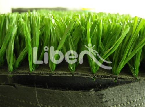 Artificial Turf