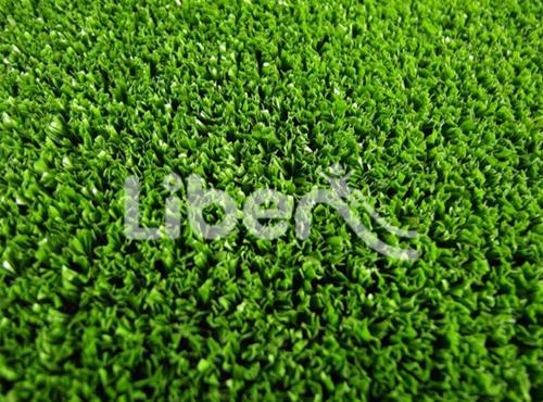 Artificial Turf