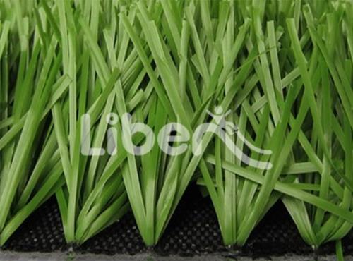 Sports Grass