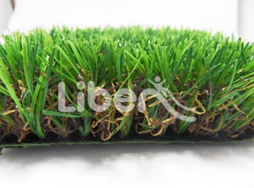 Sports Grass