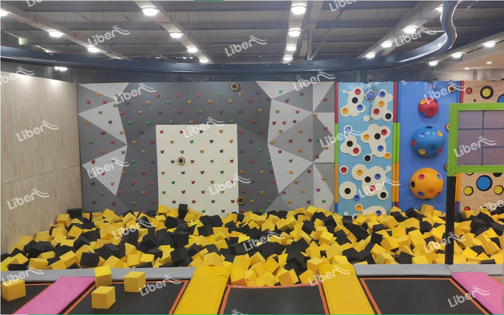 Trampoline Park Investment-1