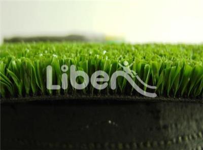 Artificial Turf