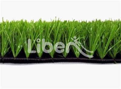 Artificial  Turf