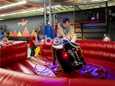 Inflatable Bullfight